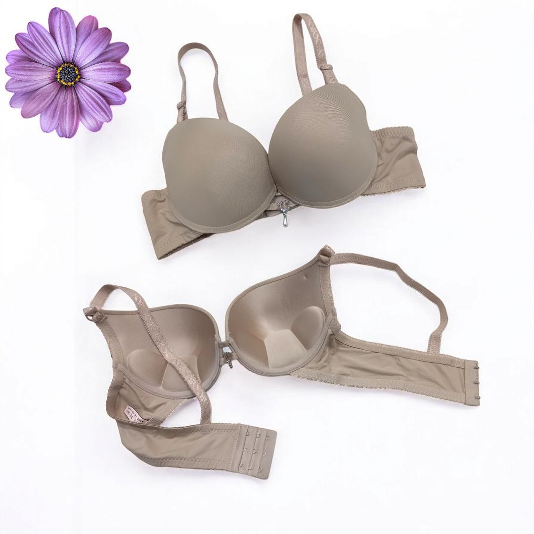 Silk Plain Comfortable & Lightweight Pushup Bra 162